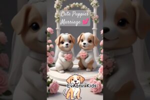 cute puppies getting married. #comedy #trending #funnyshorts #viralshorts #youtubeshorts #viralvideo