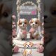 cute puppies getting married. #comedy #trending #funnyshorts #viralshorts #youtubeshorts #viralvideo