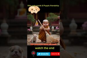 little monk so cute and cute puppies  #viral #trending #shortvideo #youtubeshorts #cute #monk