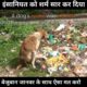 इंसानियत शर्म सार हो गई।dog rescue।#rescue ।#shorts