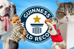 10 Cutest Animals with World Records