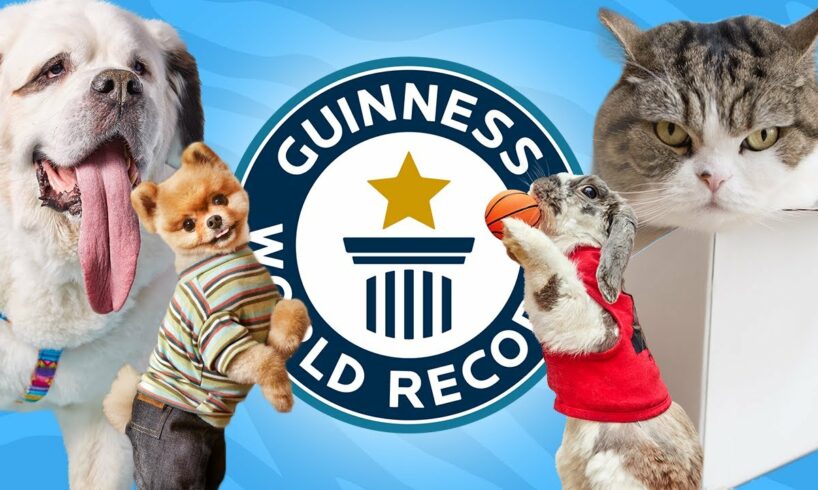 10 Cutest Animals with World Records