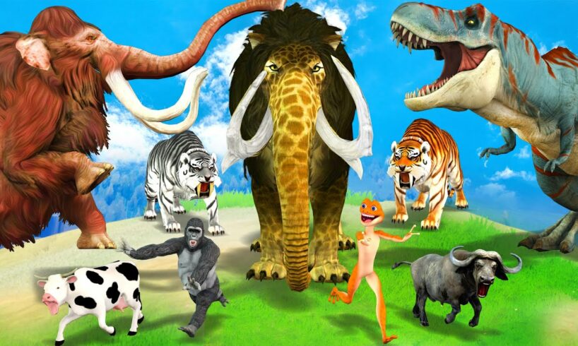 10 Mammoth Elephant Cow vs 10 Giant Lion Tiger vs Zombie Dinosaur Animal Fight Cow Cartoon Rescue