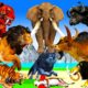 10 Zombie Lion Tigers vs Cow Cartoon Rescue Saved By Woolly Mammoth Elephant Giant Animal Fights