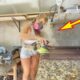 TOTAL IDIOTS AT WORK | Funniest Fails Of The Week! 😂 | Best of week #77