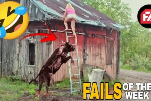 Best Fails of The Week: Funniest Fails Compilation: Funny Video | FailArmy  july 2024