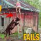 Best Fails of The Week: Funniest Fails Compilation: Funny Video | FailArmy  july 2024