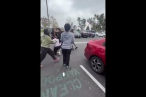 Hood Girl  Fight