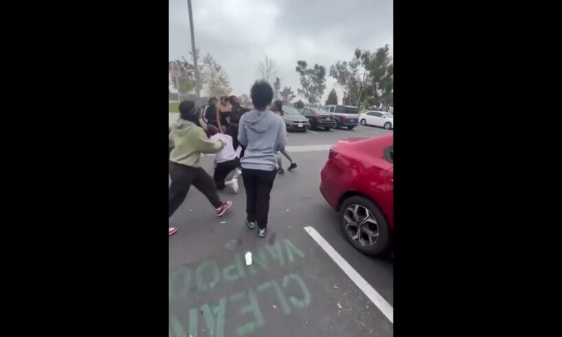 Hood Girl  Fight