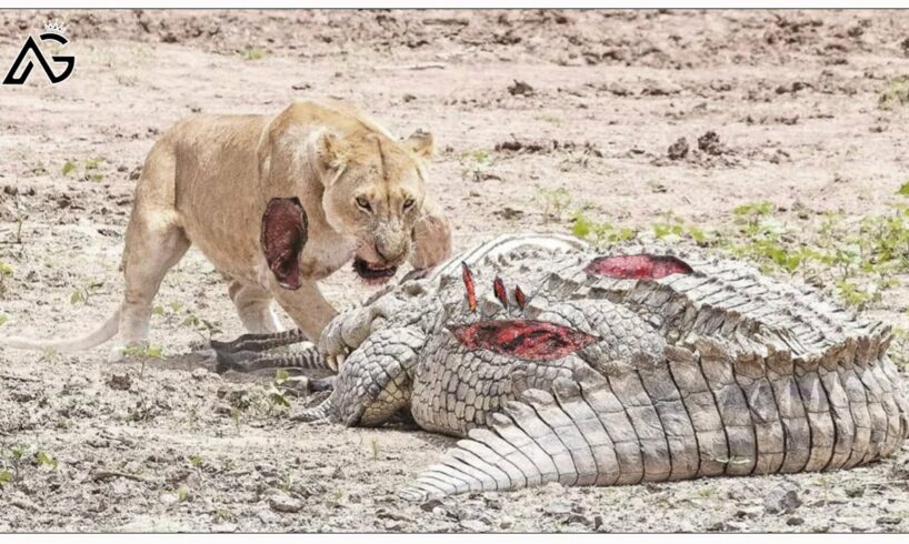 60 Moments Crocodiles Hunting Against All Opponents Caught On Camera | Animal Fight