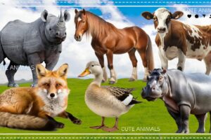 Amazing Familiar Animals Playing Sounds: Goose, Hippo, Fox, Cow, Rhino, Horse - Cute Little Animals