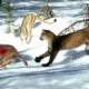 Amazing! Puma Fights To Destroy Wolves Without Mercy | Animal Fight