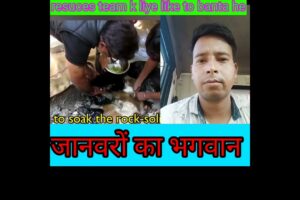 Animal  का भगवान rescues team👍👍 || animal helping videos #Animalvideo #trendingvideos