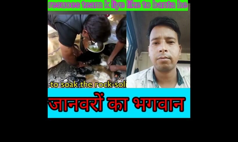 Animal  का भगवान rescues team👍👍 || animal helping videos #Animalvideo #trendingvideos