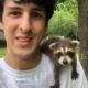 Baby raccoon rescued after mom was hit by a car