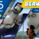 Bernard Bear | Extreme Sports | 15 minutes