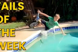 Best Fails of the Week 😅 Funniest Fails