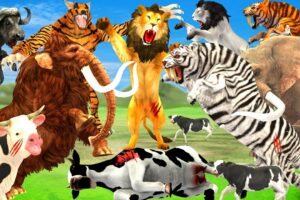 Black Lion Fight White Tiger Vs Lion King Attack Cow Cartoon Buffalo Elephant Save By Woolly Mammoth