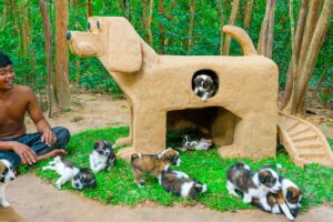 Build Mud Dog House For Rescued Puppies And Craft House