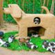 Build Mud Dog House For Rescued Puppies And Craft House