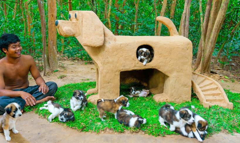 Build Mud Dog House For Rescued Puppies And Craft House