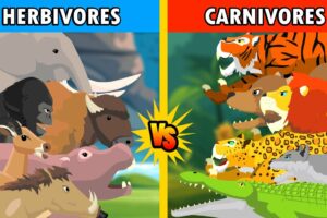 Carnivores Animal vs Herbivores Animal [S1] | Animal Animation