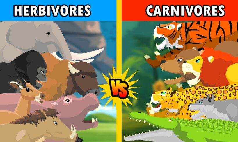 Carnivores Animal vs Herbivores Animal [S1] | Animal Animation