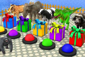 Choose The Right Gift Box Run Game With  Elephant Cow Gorilla Buffalo Pig Trex Wild Animals Games