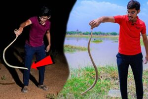 Dangerous Snake Rescue By Crazy XYZ | मुझे साँप ने काट लिया?