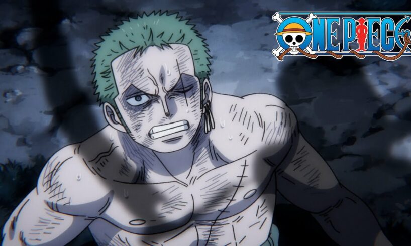 Death Comes for Zoro | One Piece