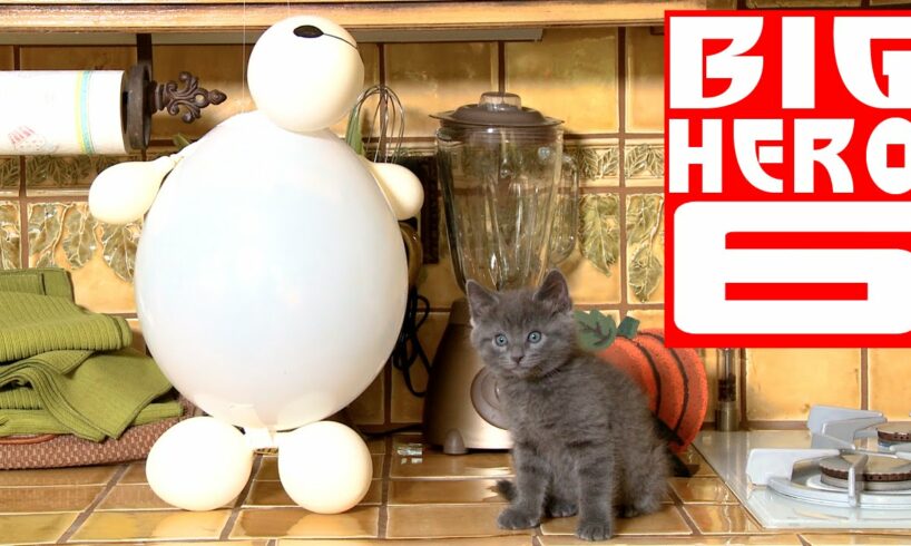 Disney's Big Hero 6 - Baymax (Cute Kitten Version)