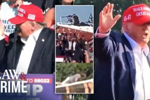 Every Video of Donald Trump's Assassination Attempt and Aftermath