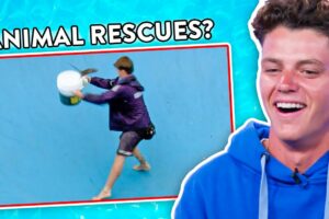 FUNNIEST Animal Rescues - Bondi Lifeguard Reacts