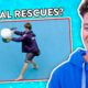 FUNNIEST Animal Rescues - Bondi Lifeguard Reacts