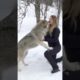 GIRL HOWLS WITH GIANT WOLVES