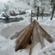 Hot Tent Camping in CRAZY Blizzard (Rescuing Trapped Drivers & Almost Getting Trapped My Self)