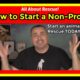 How to start an animal rescue. How to start a non profit animal rescue