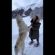 Howling with a Gigantic White Wolf