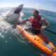 If You're Scared Of Sharks, DON'T Watch This Video