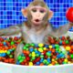 KiKi Monkey bath in the Rainbow BathTub full of M&M candy and play with ducklings | KUDO ANIMAL KIKI