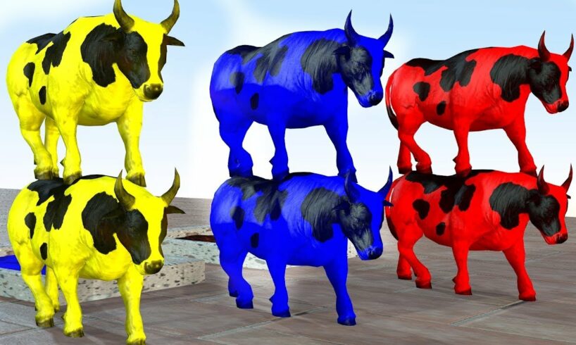 Long Slide Game With Elephant Gorilla Buffalo Hippopotamus Tiger - 3d Animal Game - Funny 3d Animals