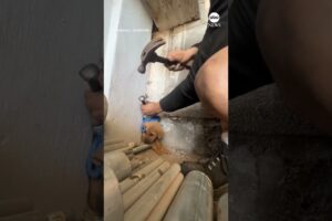 Man rescues puppy stuck in wall