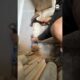 Man rescues puppy stuck in wall