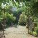 Manhattan neighborhood fights to save Elizabeth Street Garden | NBC New York