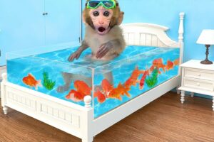 Monkey Baby Bon Bon Goes Fishing and Swims with Ducklings in the Pool