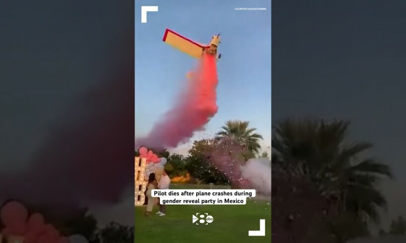 Pilot dies after plane crashes during gender reveal party in Mexico