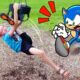 Playground FAILS You Can't Stop Laughing At!! Fails of the Week | Sonic in Real Life - Woa Doodland