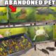 Saving EVERY Fish From ABANDONED PET STORE!