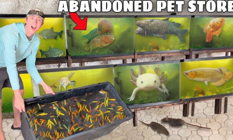 Saving EVERY Fish From ABANDONED PET STORE!