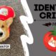 Talking Dog Thinks He is a TOMATO! #shorts #corgi